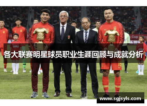 各大联赛明星球员职业生涯回顾与成就分析