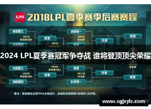 2024 LPL夏季赛冠军争夺战 谁将登顶顶尖荣耀