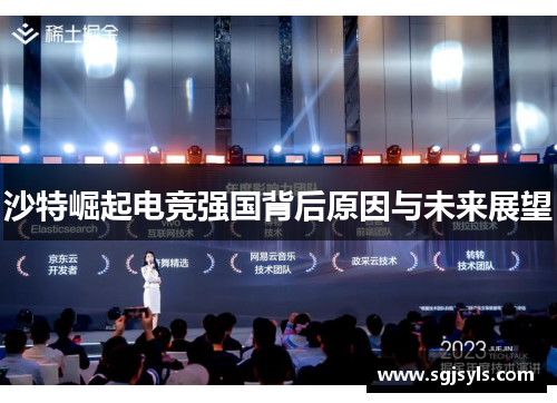 沙特崛起电竞强国背后原因与未来展望