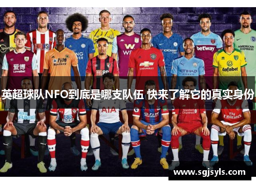 英超球队NFO到底是哪支队伍 快来了解它的真实身份